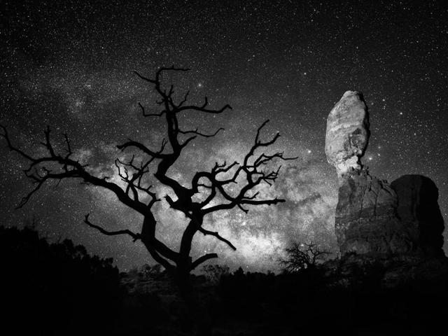 ‘Balanced rock’ in Utah, United States: Balanced Rock and lone tree in Arches National Park. (Photo and caption by Manish Mamtani) (National Geographic)