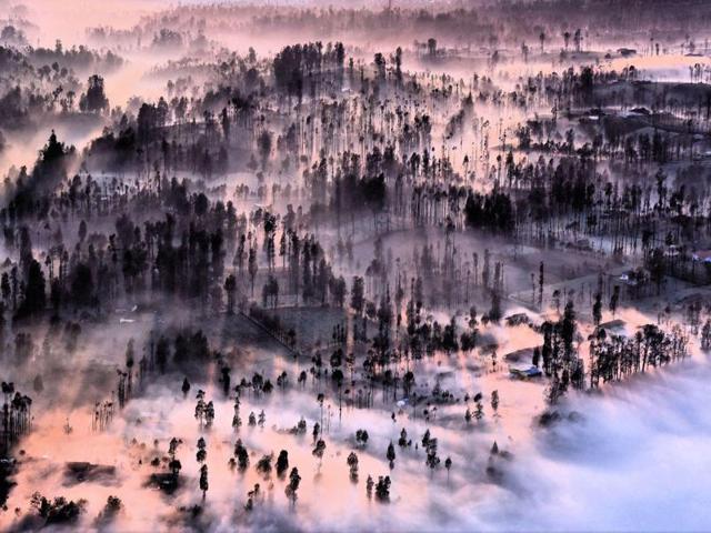 ‘Misty at Cemoro Lawang’ in Malang, East Java, Indonesia: Misty morning, fill in Cemoro lawang village in Mount Bromo East Java, I taken this picture from Pananjakan Hills II. (Photo and caption by Achmad Sumawijaya) (National Geographic)