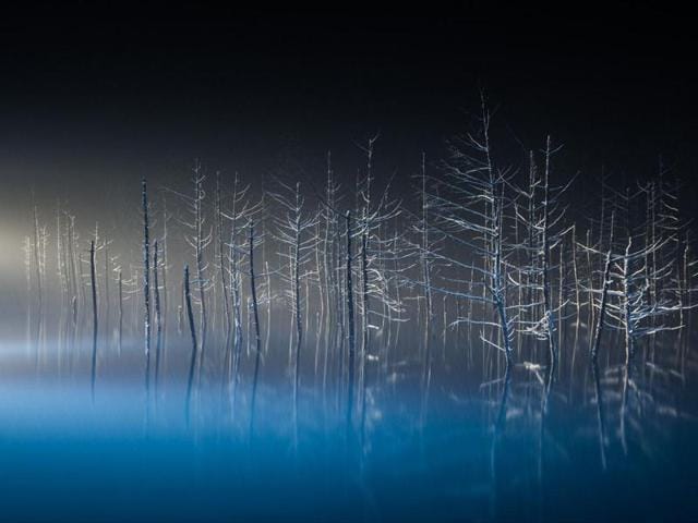 ‘Ballet dancer’ in Biei, Hokkaido, Japan: When a Japanese larch’s twig was exposed to illumination, looked like hands and feet. it was like the ballet dancer. (Photo and caption by Hiroshi Tanita) (National Geographic)