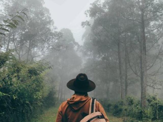 A man out for a walk in thick woods in Indonesia. Doesn’t it look like something you would have dreamt of once. (Instagram/jellyisnotagaragar) 