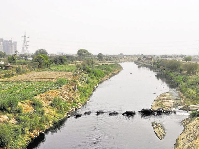 According to a Central Ground Water Board report, the groundwater level fell at a rate of 3.87 metres per year, against the earlier one metre per year, in the district’s two largest blocks —Dankaur and Bisrakh — from 2008 to 2012. (Sunil Ghosh/ HT Photo) According to a Central Ground Water Board report, the groundwater level fell at a rate of 3.87 metres per year, against the earlier one metre per year, in the district’s two largest blocks —Dankaur and Bisrakh — from 2008 to 2012. (Sunil Ghosh/ HT Photo)
