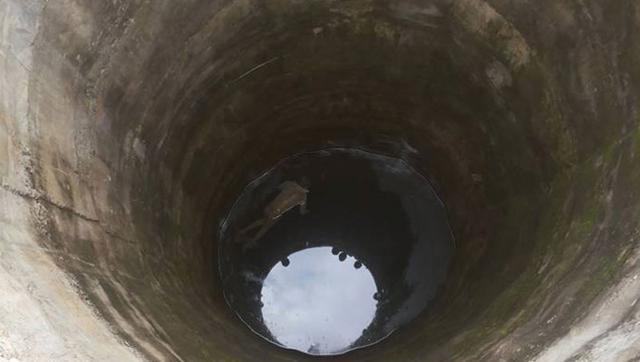 Priyanka Balaji Wankhede, a resident of Betsavangi village in Nanded district in Maharashtra, ended her life after pushing her children into a well near the village on Monday.(Photo for representation only)