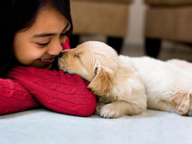 Just thinking about your pet dog may help you cope with social rejection, according to new research.(Shutterstock)