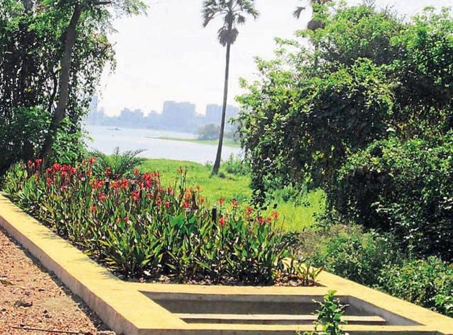 The wetland project at IIT-Bombay started in November 2013 and is an idea from professor Shyam Asolekar from the Centre for Environmental Science & Engineering . (HT Photo) The wetland project at IIT-Bombay started in November 2013 and is an idea from professor Shyam Asolekar from the Centre for Environmental Science & Engineering . (HT Photo)