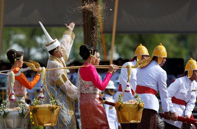 During the ceremony, the bulls are offered bowls containing various foods. (REUTERS) During the ceremony, the bulls are offered bowls containing various foods. (REUTERS)