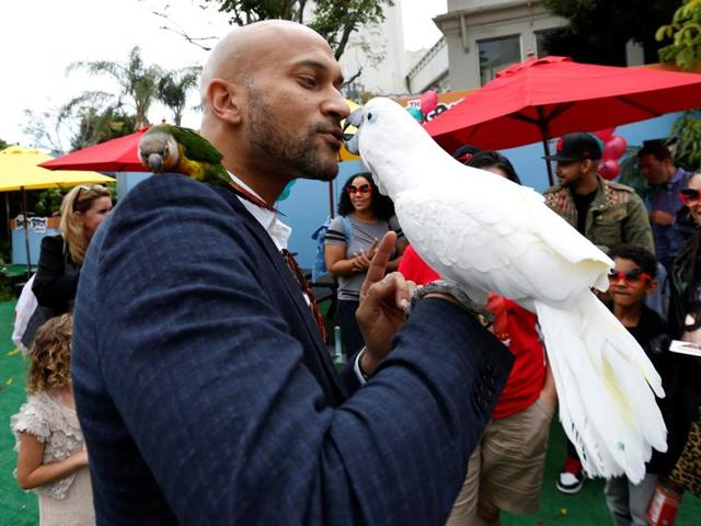 Cast member Keegan-Michael Key kisses a Cockatoo named Casper. (REUTERS) Cast member Keegan-Michael Key kisses a Cockatoo named Casper. (REUTERS)
