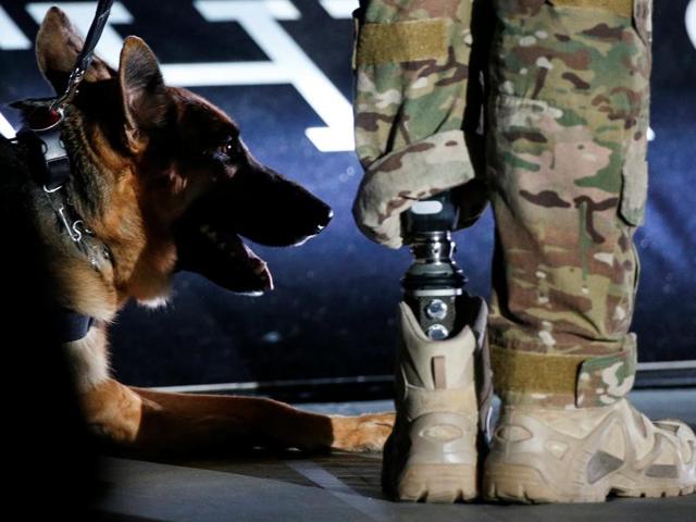 Service dog Kai is pictured with SST August O'Niell as they take part in the opening ceremony of the Invictus Games. (REUTERS) Service dog Kai is pictured with SST August O'Niell as they take part in the opening ceremony of the Invictus Games. (REUTERS)