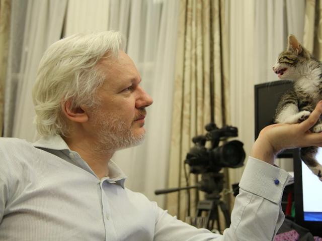 WikiLeaks founder Julian Assange holds up his new kitten at the Ecuadorian Embassy in central London, Britain. (REUTERS)