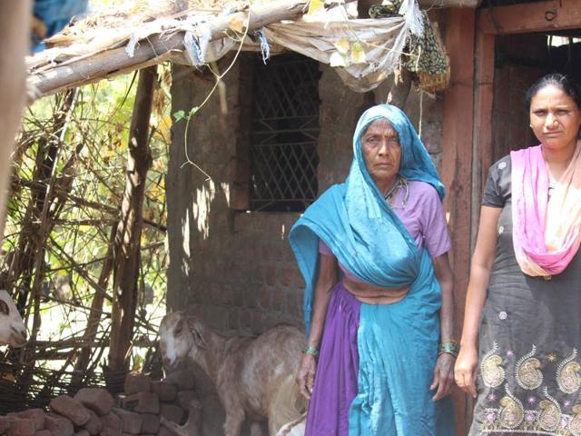Jamudi Bai in Jhabua. (Ritesh Mishra/HT photo) Jamudi Bai in Jhabua. (Ritesh Mishra/HT photo)