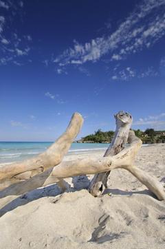 Thanks to its ideal location to the north of the Caribbean, Cuba offers tourists the paradise landscapes typically associated with the region. (Shutterstock) Thanks to its ideal location to the north of the Caribbean, Cuba offers tourists the paradise landscapes typically associated with the region. (Shutterstock)