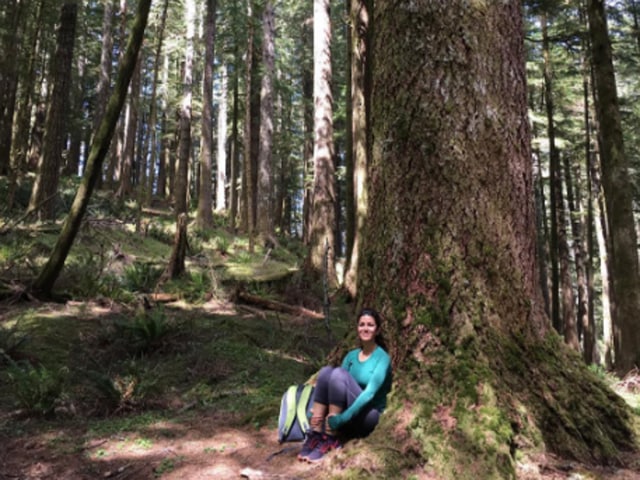 A moment of beauty: Nimrat in redwood forest, California. 