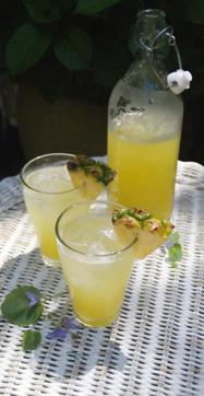 Coconut water infused with pineapple juice and spices is something you’ve gotta try. (Pinterest/ enrico manino) Coconut water infused with pineapple juice and spices is something you’ve gotta try. (Pinterest/ enrico manino)
