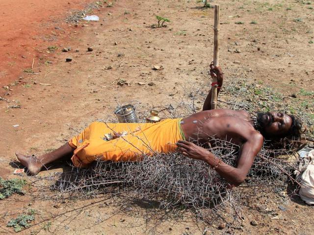 A Hindu holy man lies on the thorns of a Babul tree to beg for alms on the banks of Shipra river during Simhastha Kumbh Mela in Ujjain. (REUTERS) 