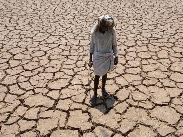 A farmer poses in his dried up cotton field at Chandampet Mandal in Nalgonda east of Hyderabad.(AFP)