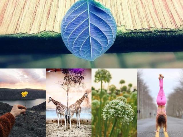 The Weekend Hashtag Project from Instagram is a photographic feature every week with designated themes and hashtags for their community to show off your photographic talents. (Instagram) The Weekend Hashtag Project from Instagram is a photographic feature every week with designated themes and hashtags for their community to show off your photographic talents. (Instagram)