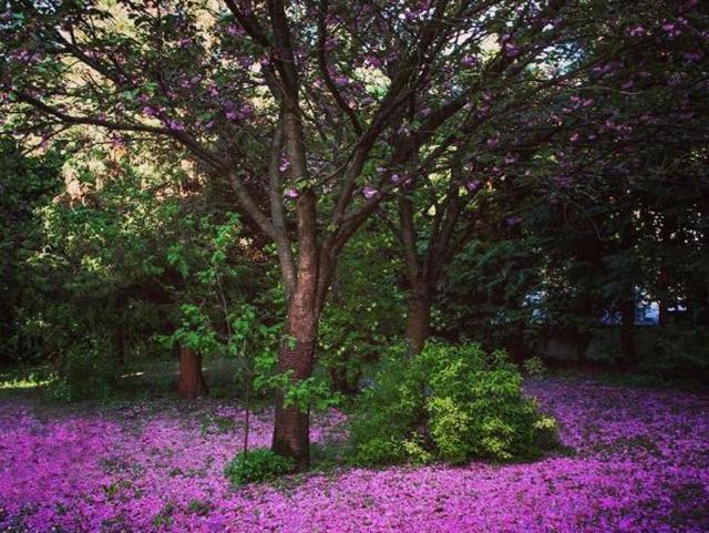And the goal this weekend is to look for moments of beauty in unexpected places.  (Instagram) 