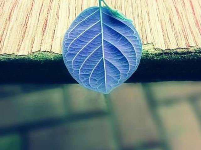Here are Isabel’s tips to get started, “Look for interesting scenes in everyday moments.” (Instagram) 