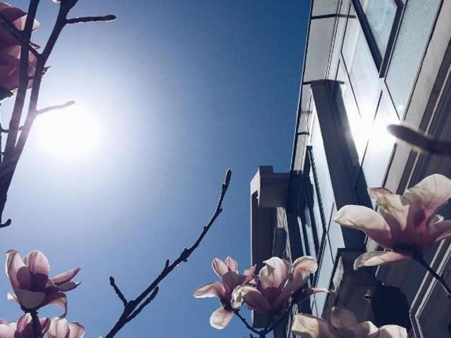 “For me, the most interesting photo is when the viewer is able to add part of the missing information from his own experience,” says Isabel. (Instagram) 