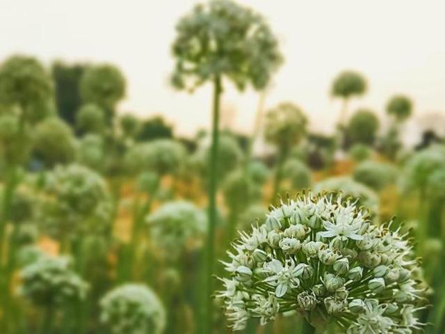 Project rules: Only submit your own visuals to the project.  (Instagram) 
