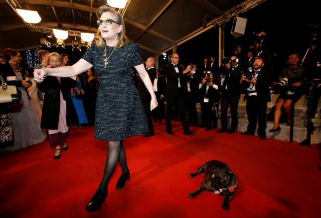 Actore Carrie Fisher arrives with her dog on the red carpet for the screening of the film The Handmaiden (Agassi or Mademoiselle) (REUTERS) Actore Carrie Fisher arrives with her dog on the red carpet for the screening of the film The Handmaiden (Agassi or Mademoiselle) (REUTERS)
