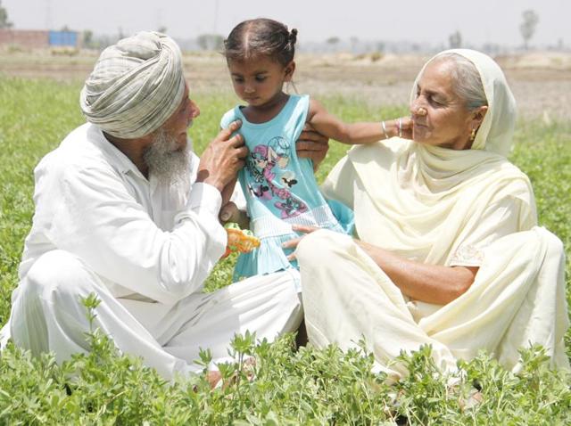 We had been childless for 35 years, so it wasn’t easy for us but it was our last chance,” says Darbara Singh.(JS Grewal/HT Photo)