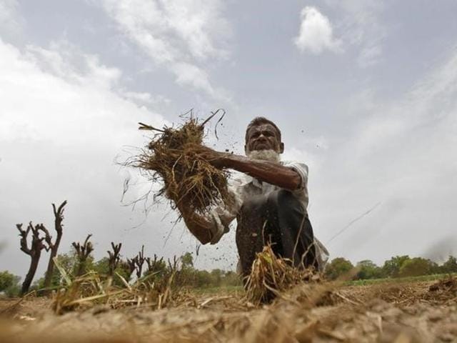 A farmer removes dried grass from his rice field against the backdrop of pre-monsoon clouds on the outskirts of Ahmedabad. (Reuters File Photo) A farmer removes dried grass from his rice field against the backdrop of pre-monsoon clouds on the outskirts of Ahmedabad. (Reuters File Photo)