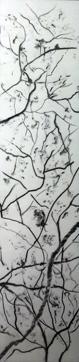 Monkeys in Khandala, by Shernavaz is an ink drawing is inspired by an incident that the artist witnessed – she saw people in the hill station trying to shoo away monkeys. Through this, she tells viewers that we are the intruders in their territory and that they should not be ousted from their home. Monkeys in Khandala, by Shernavaz is an ink drawing is inspired by an incident that the artist witnessed – she saw people in the hill station trying to shoo away monkeys. Through this, she tells viewers that we are the intruders in their territory and that they should not be ousted from their home.