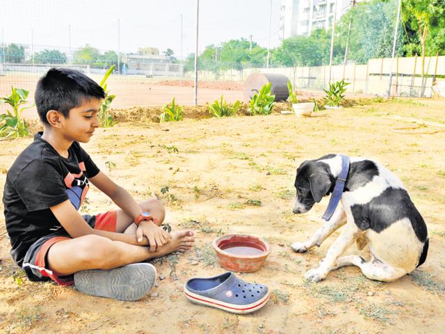 Neal Batra has already raised over Rs. 2,000 by selling 56 books, including Archie comics and Jungle Book.(Abhinav Saha/HT Photo) Neal Batra has already raised over Rs. 2,000 by selling 56 books, including Archie comics and Jungle Book.(Abhinav Saha/HT Photo)