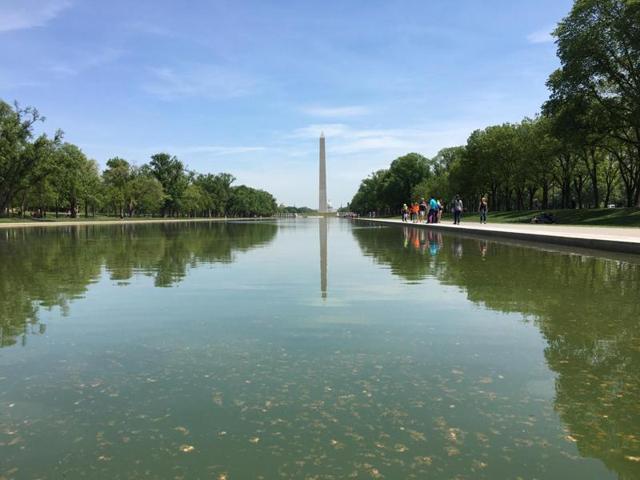 9. Lincoln Memorial Reflecting Pool, Washington DC. It is the largest of the many reflecting pools in Washington, DC, United States. (AFP) 9. Lincoln Memorial Reflecting Pool, Washington DC. It is the largest of the many reflecting pools in Washington, DC, United States. (AFP)