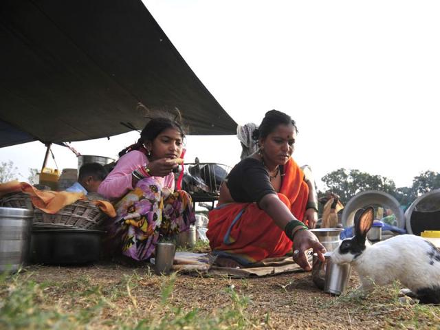 Braving the heat, they have among them toddlers and even octogenarians who stay in tents and walk from morning to night, collecting donations. (Ravi Kumar/HT Photo)