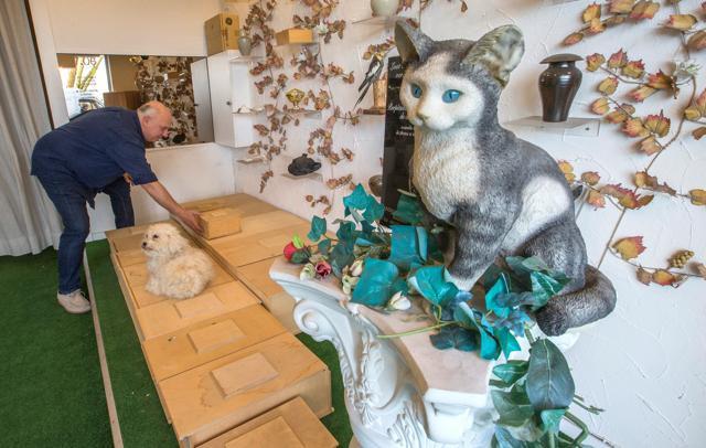 Patrick Pendville, founder of Animatrans, adjusts coffins made for animals at his shop in Brussels, Belgium. (REUTERS) Patrick Pendville, founder of Animatrans, adjusts coffins made for animals at his shop in Brussels, Belgium. (REUTERS)