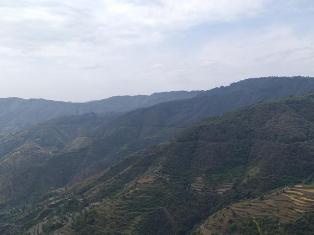 Surrounded by evergreen deodar trees, Chakrata offers panoramic views of the Himalayan mountain ranges in the vicinity. (Sneha Mahale) Surrounded by evergreen deodar trees, Chakrata offers panoramic views of the Himalayan mountain ranges in the vicinity. (Sneha Mahale)