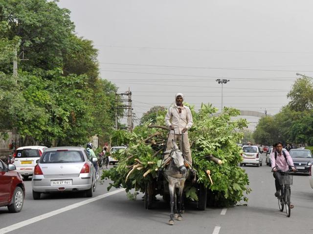 Tree uprooted near Sector 14 DAV School. (Abhinav Saha/HT Photo) Tree uprooted near Sector 14 DAV School. (Abhinav Saha/HT Photo)
