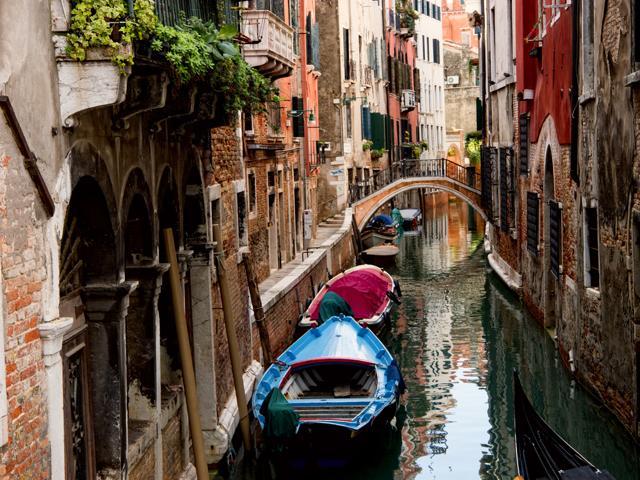 Cayred Clothing Reviews, European tour packages will see you connecting to  the real soul of the destinations you go, from the canals of Venice to the  countryside of France, and maybe even