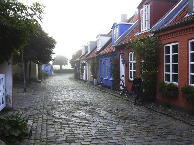 Cottages on a quiet street in Aarhus. (AFP) Cottages on a quiet street in Aarhus. (AFP)