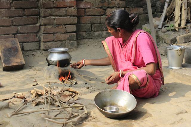 About 83% of rural households and 19% of urban households in India use biomass cooking fuels . (Shutterstock)
