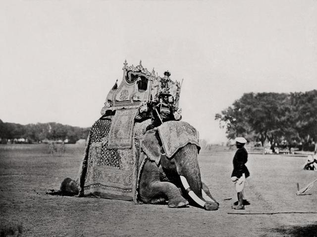 Delhi, His Eminence, The Viceroy’s Elephant, Delhi Durbar; Bourne & Shepherd, 1877. (Courtesy MAP/Tasveer) Delhi, His Eminence, The Viceroy’s Elephant, Delhi Durbar; Bourne & Shepherd, 1877. (Courtesy MAP/Tasveer)