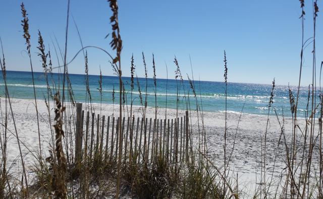 6. Grayton Beach State Park Florida Panhandle. (Dr Beach)