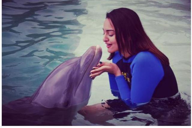 Sonakshi Sinha shared a picture with ‘Ripley’ in Miami. She captioned it, “Just having a very mushy conversation with my new friend Ripley at the #miamiseaquarium! #somiami #lovefl #dolphinlove #mermaid”. (Instagram)