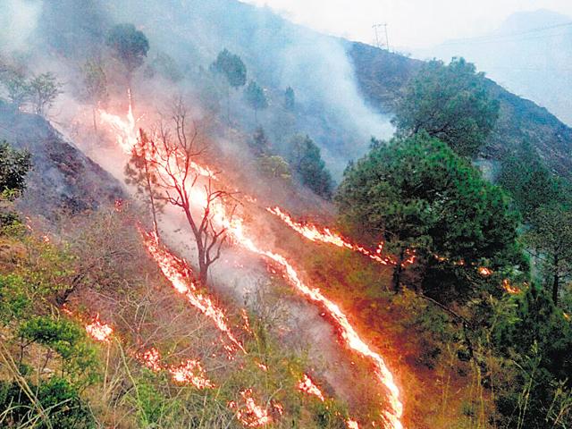 HThe proposed study may help understand the cause of such fires and the ways to deal with them. (HT file photo)
