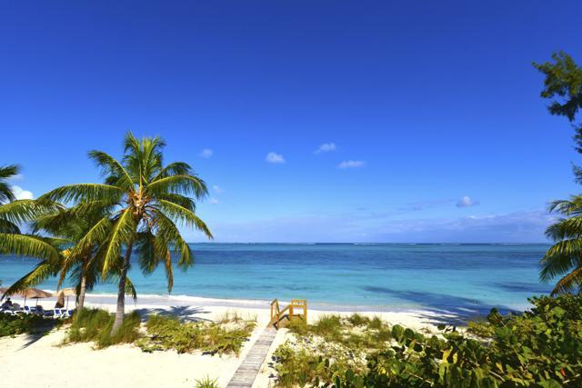 Located on the north shore of Providenciales island, Grace Bay is known for its long coral reef, immaculate, white sand beaches, and crystal blue waters. (AFP) Located on the north shore of Providenciales island, Grace Bay is known for its long coral reef, immaculate, white sand beaches, and crystal blue waters. (AFP)