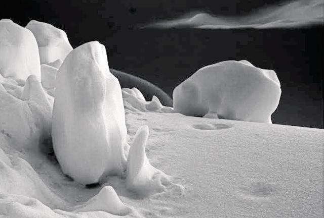 Snowscape by Surinder Dhami Snowscape by Surinder Dhami