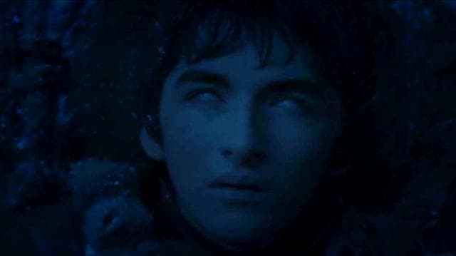 Bran is catching up on all that happened so far. Does he need season 1-5 DVDs? (HBO)