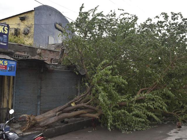 The collapsed roof a shanty after sudden rain and hailstorm in Amritsar on Monday.(Sameer Sehgal/HT Photo)