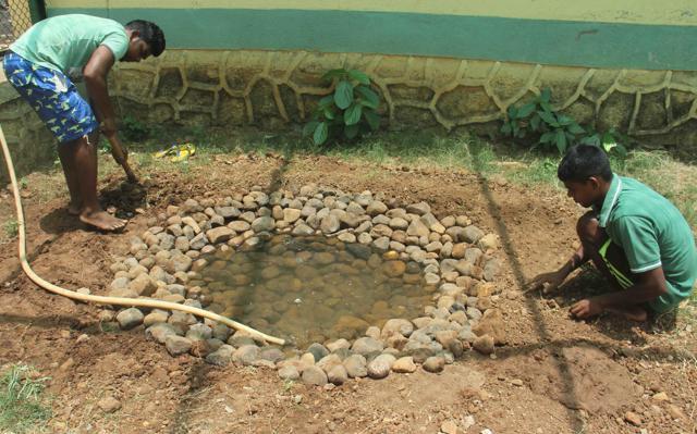 Artificial waterholes were constructed at the Sanjay Gandhi National Park in Mumbai to create a stress-free environment for the leopards. (Pramod Thakur/HT Photo)