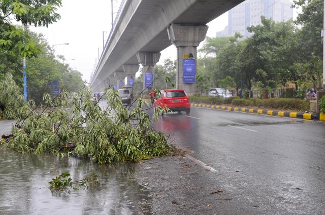 Thunderstorm in Delhi uprooted several trees in Gurgaon. (Photo by Abhinav Saha/Hindustan Times) Thunderstorm in Delhi uprooted several trees in Gurgaon. (Photo by Abhinav Saha/Hindustan Times)
