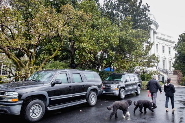 President Barack Obama's dogs, Sunny and Bo, arrive before President Barack Obama, First Lady Michelle Obama as the Easter Bunny arrives for the White House Easter Egg Roll at the White House in Washington. (AP Photo) President Barack Obama's dogs, Sunny and Bo, arrive before President Barack Obama, First Lady Michelle Obama as the Easter Bunny arrives for the White House Easter Egg Roll at the White House in Washington. (AP Photo)