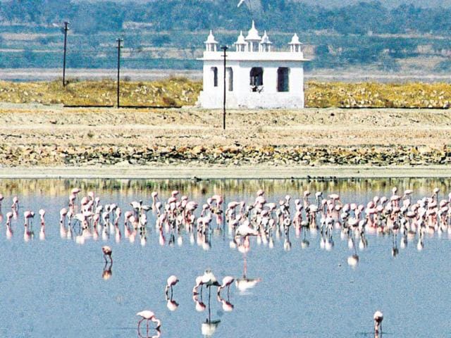 It is estimated that freshwater wetlands alone support 20% of the known range of biodiversity in India(Hindustan Times)