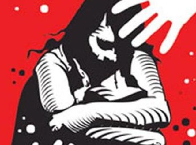 The FIR lodged by the parents on Sunday said a male passenger sitting next to the girl sexually harassed her during the journey. The FIR lodged by the parents on Sunday said a male passenger sitting next to the girl sexually harassed her during the journey.
