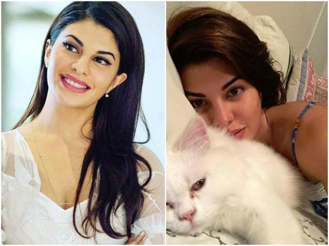 Jacqueline Fernandez is one of the most stunning Bollywood actresses right now and she looks just as stunning at her home, chilling with her cat without any makeup.